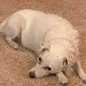 Meet your Posher, Al